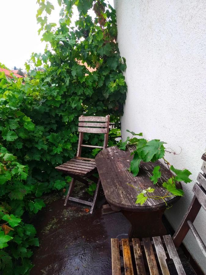 Apartment Telc Hradecka Eksteriør bilde