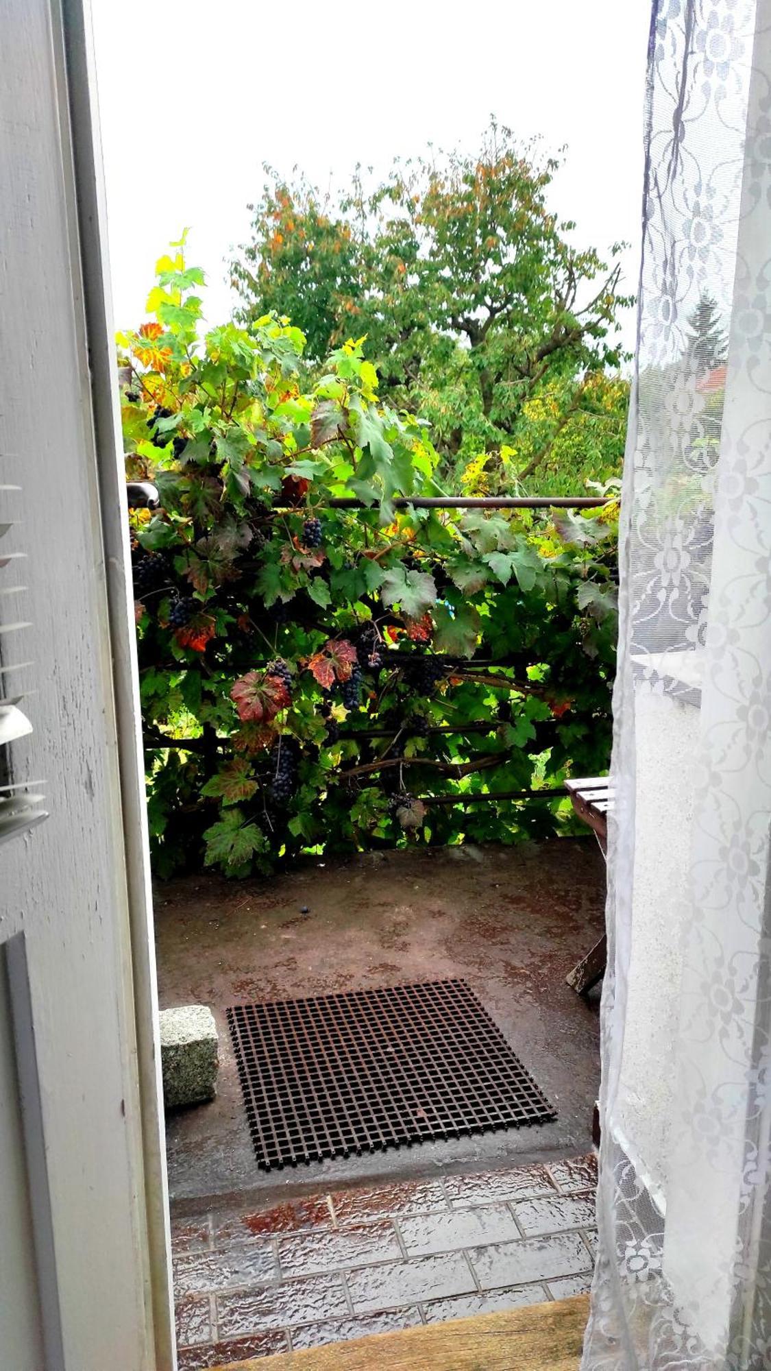 Apartment Telc Hradecka Eksteriør bilde
